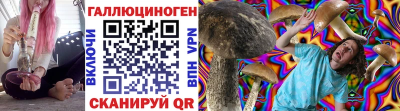 Галлюциногенные грибы Psilocybine cubensis  мориарти как зайти  Островной 